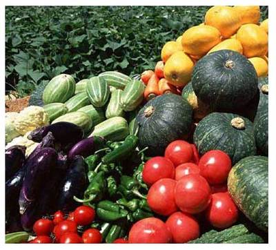 重慶市萬(wàn)州區(qū)人大代表 蒞臨百安港農(nóng)產(chǎn)品批發(fā)市場(chǎng)視察