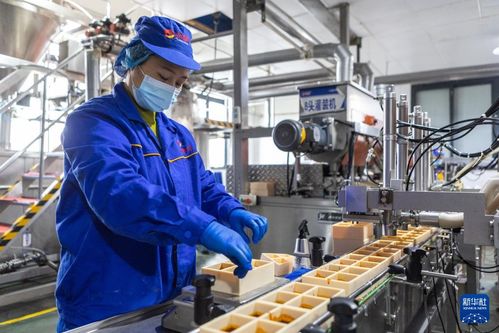 火鍋の產(chǎn)業(yè)チェーンで質(zhì)の高ぃ経済発展を后押し 中國(guó)重慶市